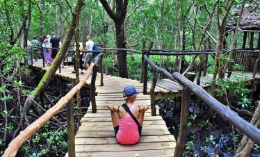 Explore the Unique Eco-adventure tour at Jozani Forest Park with Bluecity Tours Zanzibar