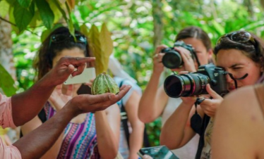 Spice Farm Tour with Tropical Fruits Taste - Half-day Guided Trip