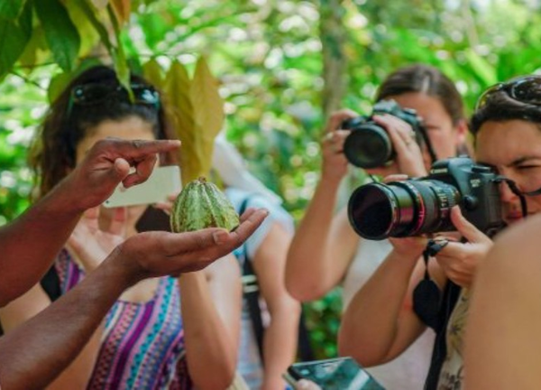 Spice Farm Tour with Tropical Fruits Taste - Half-day Guided Trip