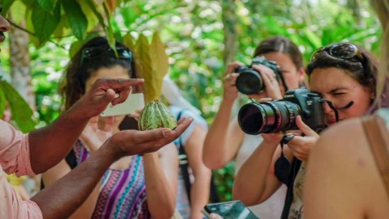 Spice Farm Tour with Tropical Fruits Taste - Half-day Guided Trip