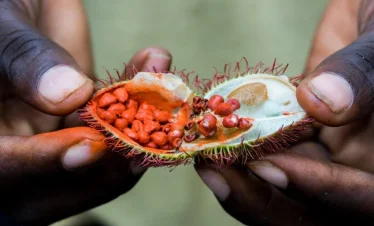 Spice Farm Tour with Tropical Fruits Taste - Half-day Guided Trip