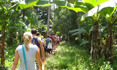 Spice Farm Tour with Tropical Fruits Taste - Half-day Guided Trip