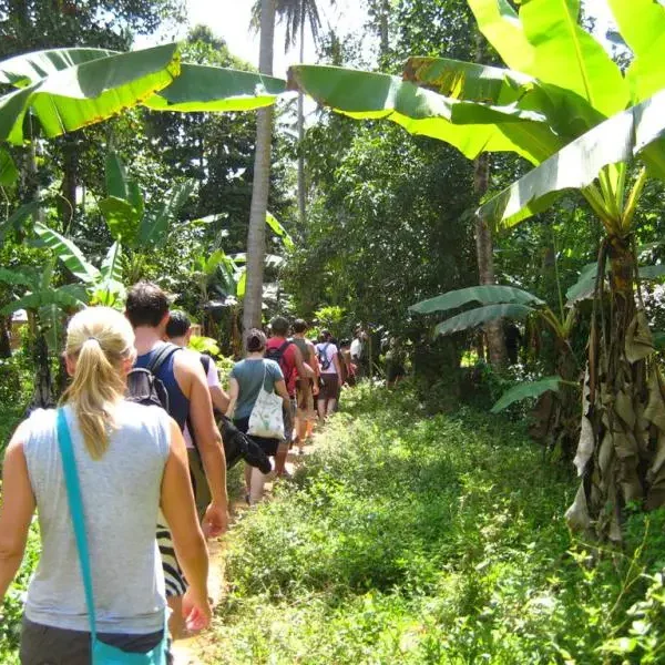 Spice Farm Tour with Tropical Fruits Taste - Half-day Guided Trip